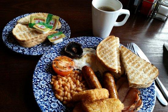 The Albert and The Lion